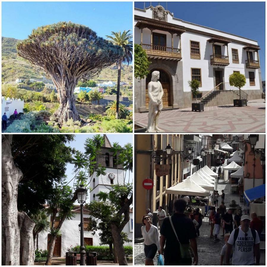 Plaza San Marcos Leilighet Icod De Los Vinos Eksteriør bilde